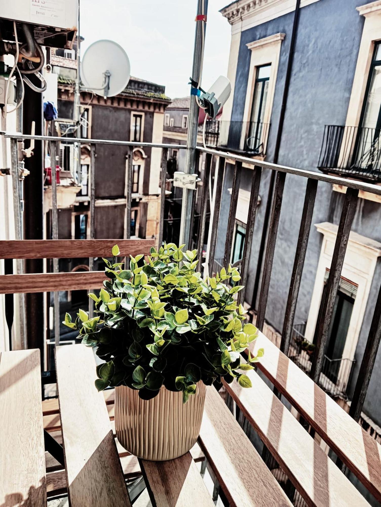 Appartement Domus Coppola Catane Extérieur photo